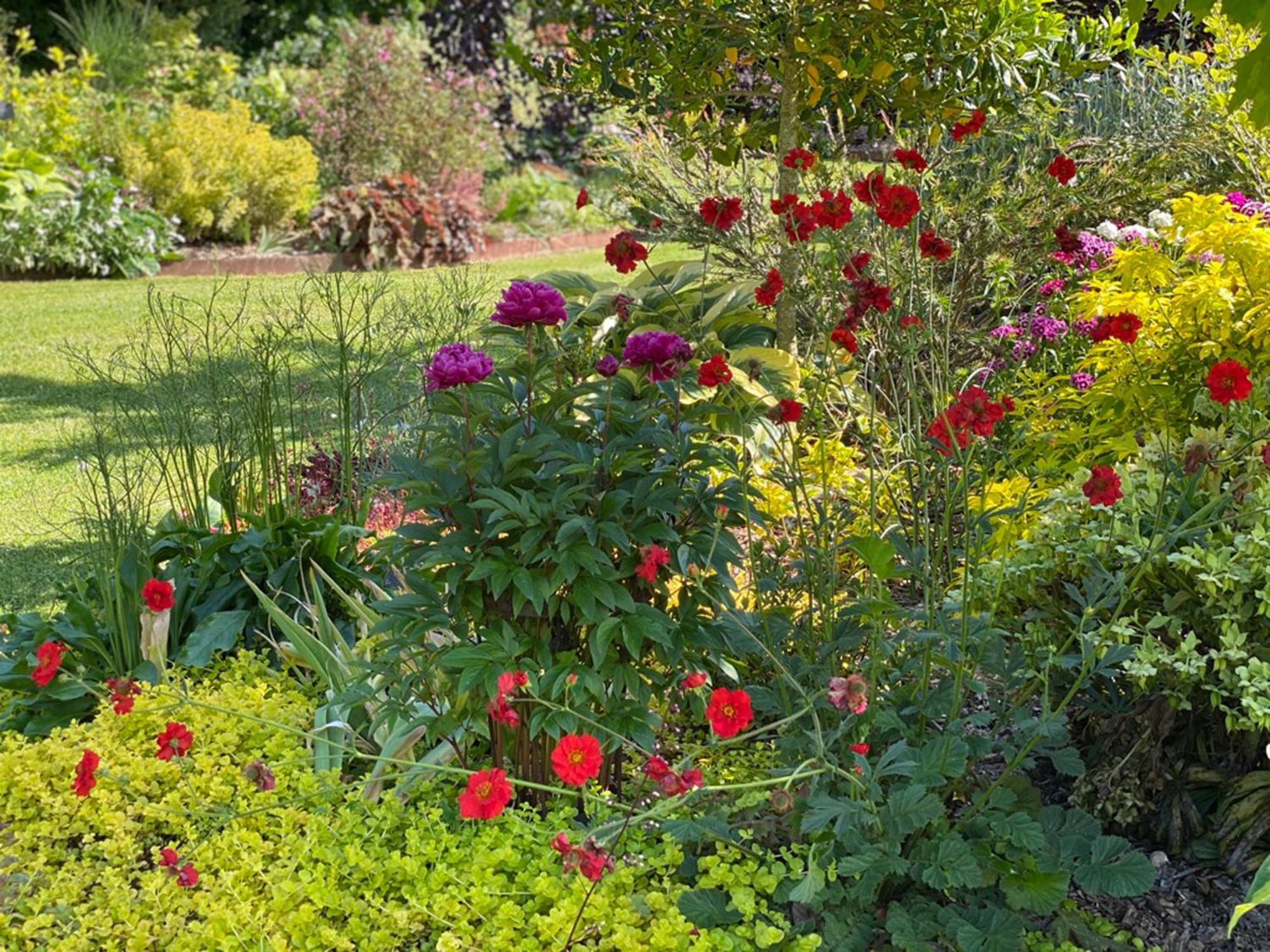 L'Ecole Des Garcons Bed and Breakfast Maigne Esterno foto